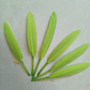 10-15cm <span class=keywords><strong>prix</strong></span> <span class=keywords><strong>d</strong></span>'usine en gros vente chaude plumes <span class=keywords><strong>d</strong></span>'<span class=keywords><strong>oie</strong></span> naturelles <span class=keywords><strong>d</strong></span>écoratives en vrac plumes de <span class=keywords><strong>duvet</strong></span> <span class=keywords><strong>d</strong></span>'<span class=keywords><strong>oie</strong></span> à vendre - Product Image 3