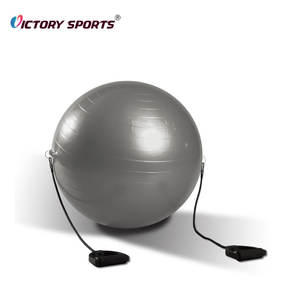 Fitness 55 Cm <span class=keywords><strong>65</strong></span> Cm <span class=keywords><strong>Swiss</strong></span> <span class=keywords><strong>Ball</strong></span> Anti Burst Gym <span class=keywords><strong>Ball</strong></span> avec Corde de Traction Pilates Yoga <span class=keywords><strong>Ball</strong></span> 75 Cm à Vendre - Product Image 2