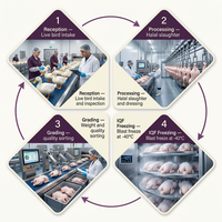 Canard entier halal surgelé, entièrement éviscéré, sans entrailles, surgelé IQF, surgelé par éclatement, vente en gros, fournisseur d'exportation de volailles