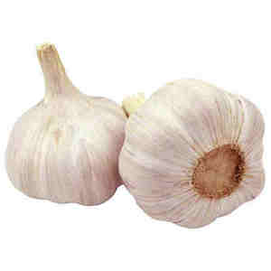 Ajo Blanco Normal, Ajo Rojo, Ajo Morado, Ajo Fresco, Empacado en Bolsa de Malla o Caja Suelta, Ajo Chino, Nueva Cosecha 2024 - Product Image 1