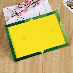 กับดักหนูแบบเหนียว 21ซม.x15ซม. ปลอดสารพิษ กาวเหนียวแน่น สำหรับหนูและแมลง ใช้ในครัวเรือน - Product Image 5