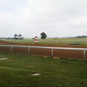 Paneles blancos de PVC para vallas de caballos para competiciones de saltos con diseño de piquete y puertas para arenas al aire libre - Product Image 4