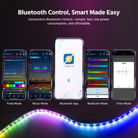 Contrôleur LED USB RGBIC avec application Bluetooth et minuterie, peut clignoter et s'afficher en rythme avec la musique, modes personnalisés, changements multimodes