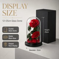 Rose éternelle préservée au toucher réel, longue durée de vie, sous dôme, avec écran LED 15x25cm - Édition Noël et Nouvel An