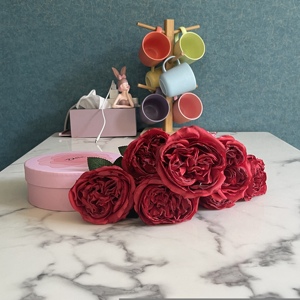 Creative <strong>Forever</strong> Preserved Rose Flower <strong>Bouquet</strong> for Mother's Day Birthday Valentine's Day Graduation Easter-Artificial Roses Gift - Product Image 4