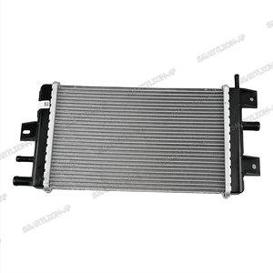 Radiatore Ricambi Auto 214109411R per <span class=keywords><strong>Renault</strong></span> DACIA <span class=keywords><strong>SPRING</strong></span> - Product Image 3