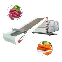 Assurance qualité Séchoir à noix de coco Séchoir à tunnel pour tranches de pomme de fruits/citron/aubépine Pilules Séchoir à fruits et légumes séchés