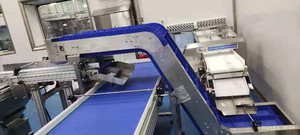 Et ve Tavuk Gibi Dondurulmuş Gıdalar İçin Plastik Modüler Bantlı PP Gıda Sınıfı Eğimli Bantlı Elevatör Konveyörü - Product Image 5