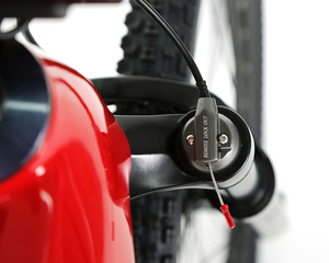 Vélo électrique EM8 en fibre de carbone haute performance, batterie M510 36V (48V) 250W intégrée, VTT 27.5 29 pouces EM8 - Product Image 6