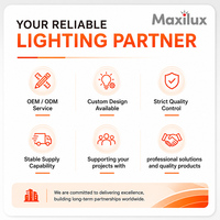 Lámpara de Lectura LED Flexible con Diseño de Cuello Ajustable para Habitaciones de Hotel
