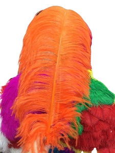 70-75 Cm Hot Bán Thanh Mỏng Tự Nhiên Tẩy Trắng Lông Đà Điểu Lớn Số Lượng Lớn Đà Điểu Bộ Lông Cho Đám Cưới Đảng Trang Trí - Product Image 2