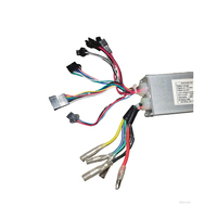 24V/36V/48V  Kontroler Ebike Lishui Berkualitas Tinggi yang Dapat Disesuaikan LSW  Suku Cadang Sepeda Listrik Kontroler Motor yang Dapat Disesuaikan