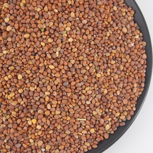 Bán Trực Tiếp Từ Nhà Máy Hạt Củ Cải/Hạt Củ Cải/Thực Phẩm Hữu Cơ Nguyên Chất Lượng Cao - Product Image 5