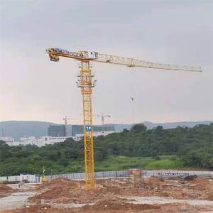 Grue à tour à plateforme plate de 8 tonnes et 4 tonnes (PT6010) - Product Image 1