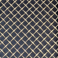 Maille décorative en acier inoxydable, treillis métallique architectural tissé pour revêtement mural