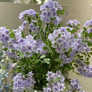 Arredamenti per la casa di decorazioni per la casa con fiori artificiali di robinia - Product Image 4