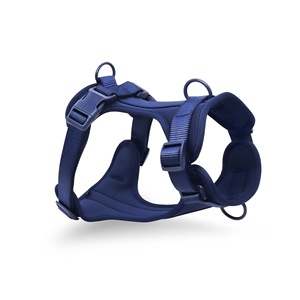 Benutzer definierte Designer Luxus Polyester Nylon Hunde geschirr Set personal isierte verstellbare Luftschicht Neopren <span class=keywords><strong>PVC</strong></span> Leine Halsband Mode - Product Image 3