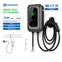 Chargeur EV DLB Type 2 AC EVSE 7 kW 32A Monophasé avec Fonction WiFi pour Bornes de Recharge de Véhicules Électriques