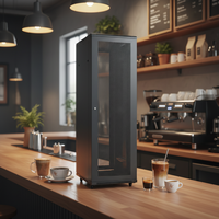 Armoire de serveur en acier pour centre de données, 10U, 600*1000mm, en stock