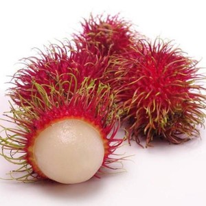 สารสกัดรัมปูตันคุณภาพสูง ผงรัมปูตัน - Product Image 2