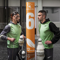 Volants de badminton hybrides OEM 3-en-1 avec logo personnalisé, 12 pièces par paquet, en plumes d'oie, professionnels et légers