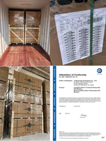 Panel Surya Fotovoltaik Kaca Ganda Yingli - 585~610W - YL585~610CF72 E/2