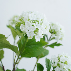 Hydrangeas artificiels en soie blanche, 3 têtes, haute simulation, pour décoration de mariage et de maison - Product Image 2