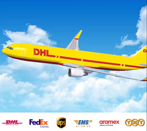 Çin'den İspanya ve İtalya'ya Kapıdan Kapıya LCL+Ekspres Deniz Taşımacılığı, <span class=keywords><strong>DDP</strong></span> Dahil Gümrük İşlemleri ve Vergiler Ödenmiş 48-52 Gün - Product Image 4