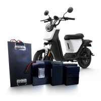 LiFePO4 Traktionsbatterie 48V 52V 60V 72V 30Ah 40Ah 50Ah 60Ah 72V E-Bike Akku mit BMS 1000W 1500W 2000W Batterieboxen und Halterungen