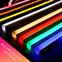 Néon LED flexible Wilgex certifié ETL avec garantie de 10 ans, revêtement triple couche IP65/IP68 - Vente en gros