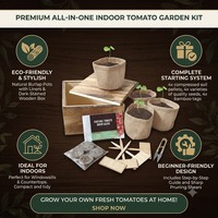 Mini boîte en bois semis plante d'intérieur herbe jardin herbe démarreur Kit de culture en gros bonsaï Kit de démarrage