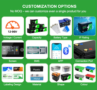 Packs de batteries personnalisés 12V 24V 36V 48V 60V 72V 84V 96V, pack de batteries au lithium Lifepo4, batteries au lithium-ion solaires avec BMS