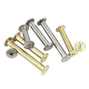 Tornillo <span class=keywords><strong>Chicago</strong></span> con ranura hembra a macho, remache de tornillo <span class=keywords><strong>Chicago</strong></span> M3, tornillos y tuercas <span class=keywords><strong>Chicago</strong></span> decorativos iridiscentes con cabeza hexagonal plana - Product Image 1