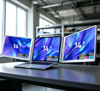 Produit électronique grand public : Moniteur portable double écran pour ordinateur portable, extension d'écran LCD 14 pouces