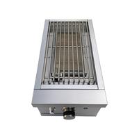 Barbecue à gaz propane céramique infrarouge de haute qualité certifié CE, en acier inoxydable 304, pour extérieur, avec brûleur latéral et éclairage LED