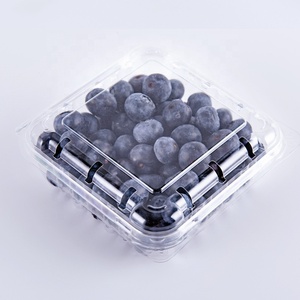 Emballage en plastique recyclé pour fruits <span class=keywords><strong>Lesui</strong></span> 125g, boîte transparente pour fruits, baies, myrtilles, conteneur à clapet avec trous - Product Image 5