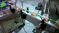 Chaîne de convoyeur de taille industrielle 1 mètre/1,5 mètres/2 mètres Longueur personnalisable Convoyeur en nylon POM Machine pour bouteilles et canettes