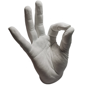 <span class=keywords><strong>Kit</strong></span> de poudre d'alsemine pour Impression dentaire, ensemble de <span class=keywords><strong>moulage</strong></span> à la <span class=keywords><strong>main</strong></span> de plâtre pour Couples, Diy - Product Image 2