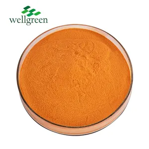 Fabrika doğrudan besleme sınıfı Marigold özü Xanthophyll 2% Lutein tozu hayvan doğal yem Pigment katkı maddeleri için