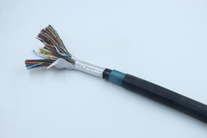 OEM HYA53-6 * 2*0.5 Cat3 HYA53-6 * 2*0.5 Câble téléphonique UTP en cuivre/CCA multipaires blindé rempli de gelée pour une utilisation en extérieur/intérieur - Product Image 3