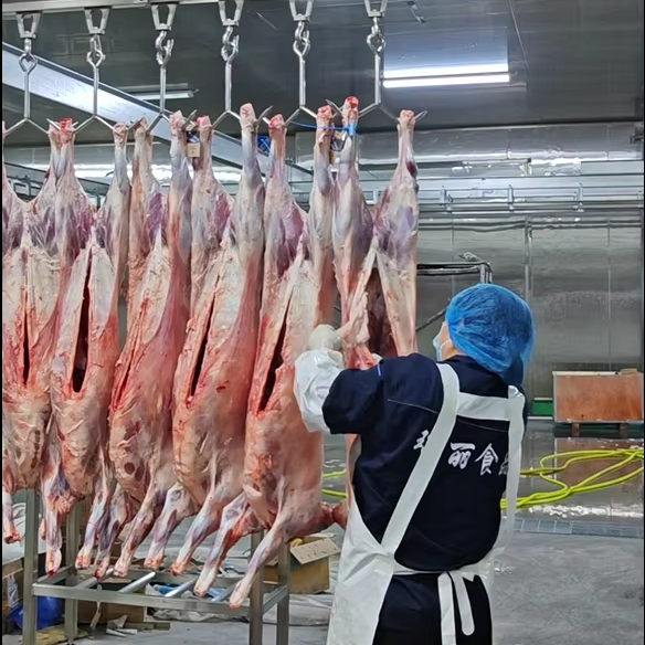 Automatic Goat Slaughtering Line Lamb Abattoir