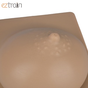 Modèle d'Éducation à la Lactation pour Infirmières IBCLC et Sage-femmes, Sein Artificiel Unique, Vente en Gros d'Usine - Product Image 6