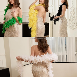 Encaje <span class=keywords><strong>de</strong></span> Plumas <span class=keywords><strong>de</strong></span> Alta Calidad para Costura <span class=keywords><strong>de</strong></span> Moda y Prendas, <span class=keywords><strong>Manualidades</strong></span> Vintage, Accesorios para Sombreros, Fondo para Transmisión en Vivo y Decoración <span class=keywords><strong>de</strong></span> Habitaciones - Product Image 3