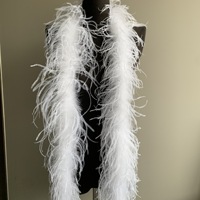 Vente en gros de boas en plumes d'autruche, 2 plis, épaisses, teintes sur mesure, plumes d'autruche naturelles pour costumes de danse, décoration