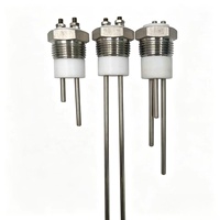 1-1.5 Mpa Female Thread SS304 Ptfe Water Level Sensor for Steam Generator Water Sensor Water Level Probe