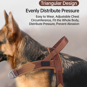 卸売 高品質 子犬用 脱走防止 快適メッシュ 反射素材 カスタム ノープル 調整可能 ペット 犬 猫 ハーネス リードセット - Product Image 5