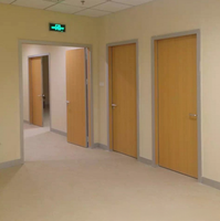 Porte de salle blanche en aluminium et bois sur mesure pour hôpital, résistante à l'humidité, aux acides et aux alcalis, insonorisée, pour blocs opératoires et cabinets médicaux
