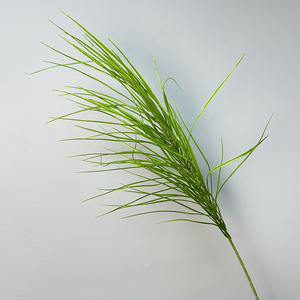 Plantes de Pampas Individuelles, Résistantes aux Zones Sombre, pour la Décoration de Bureau et de Chambre - Product Image 6
