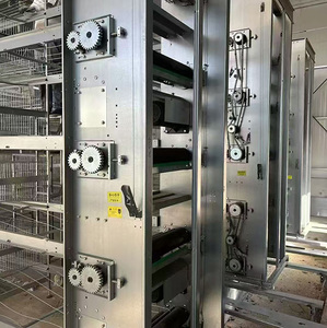 Offre Spéciale : Système de cages galvanisées <span class=keywords><strong>à</strong></span> chaud de type H pour l'élevage de poules pondeuses, capacité 160 poulets par cage, pour ferme avicole - Product Image 4