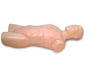 Módulo de Patología para Ultrasonido: Pacote de Insertos Reemplazables para Neumotórax, AAT, Cirrosis, Cálculos Biliares y Cálculos Renales para Modelos de Entrenamiento - Product Image 3